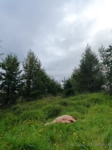 I love doing yoga naked in nature have you ever tried it should i