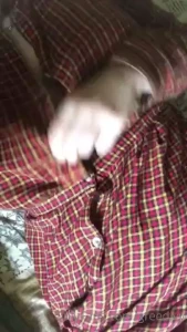 Vous aimez bien ce genre de vid o plus longues et plus approfondies