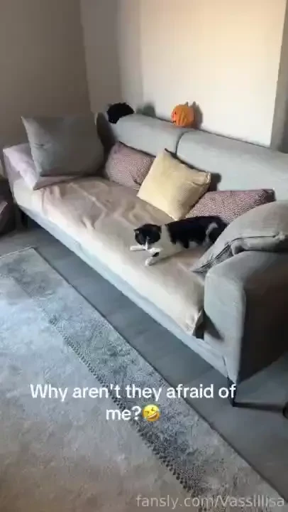 Channeling my inner pumpkin queen ready to haunt your dreams in style 