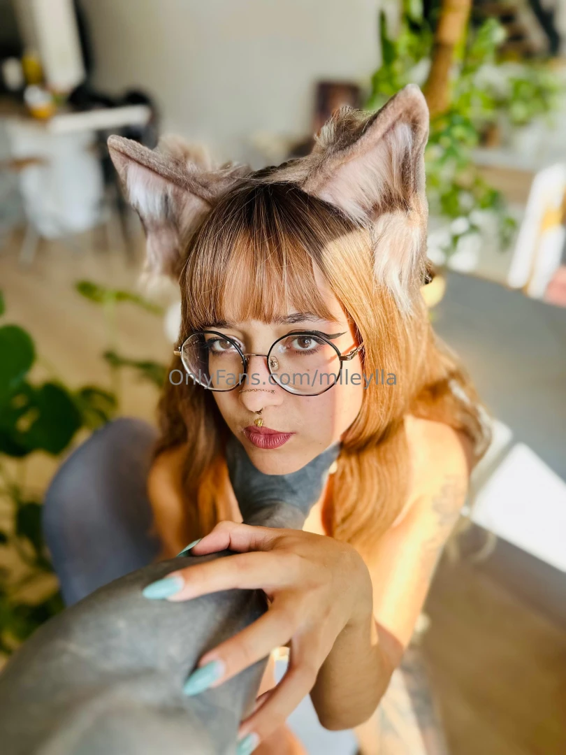 Petit rappel de pourquoi il faut me suivre sur yllaaa - on pourra nbsp 