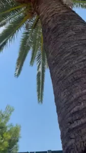 Vacation o sa adaug aici cateva momente dap nu mai sunt nici roscata