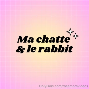 Ma chatte et le rabbit une grande histoire d amour je me d shabille