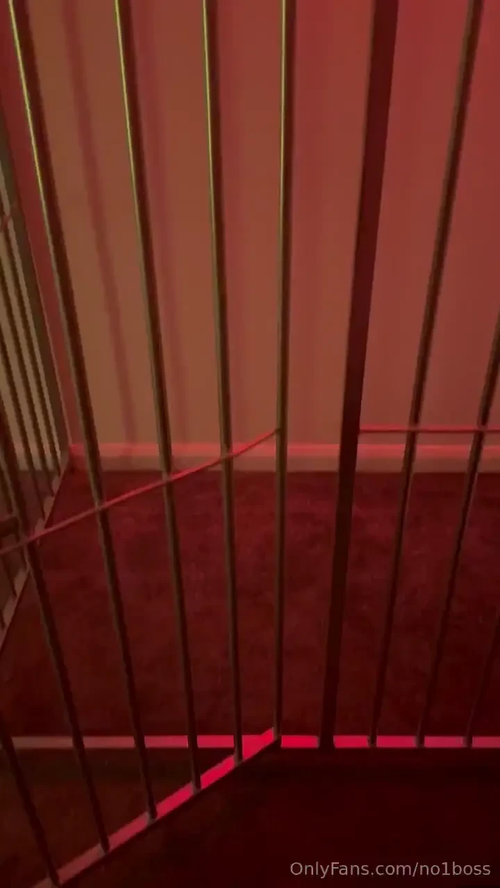 Come down to my dungeon and into my cage 