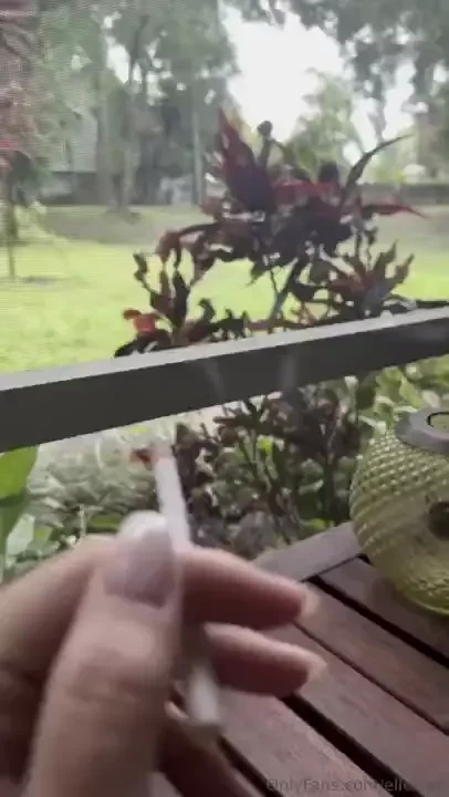 Florida weather this morning 