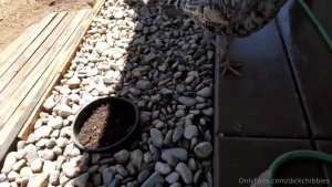 I know it s not including my cock in this but just finished moving a