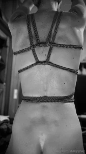 First harness attempt