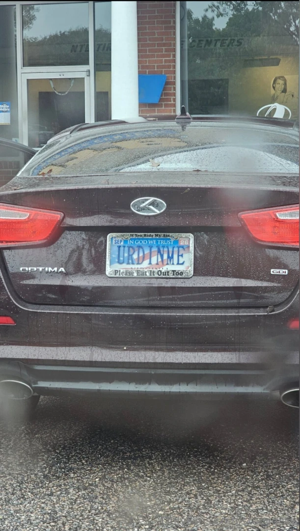 My kind of license plate snatched from other creator but way too funny 