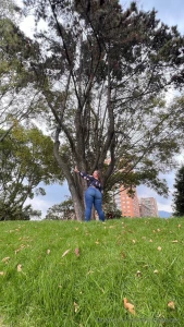 Disfrutando del paisaje
