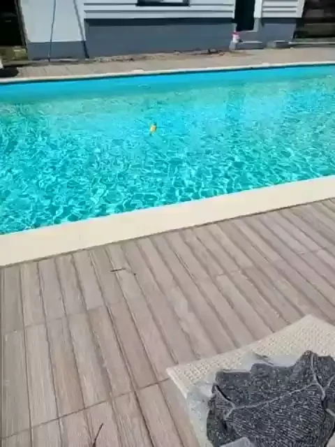 Stream started at 06 16 2023 09 00 am france 