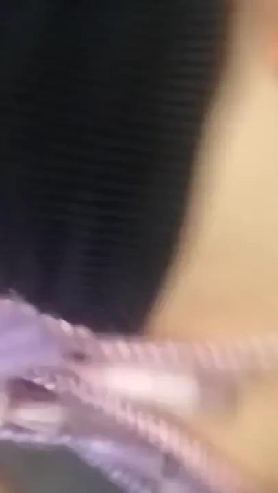 Stream started at 05 02 2023 08 49 pm 