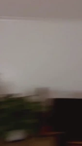 Mirror mirror on the wall who has the spiciest site of them all