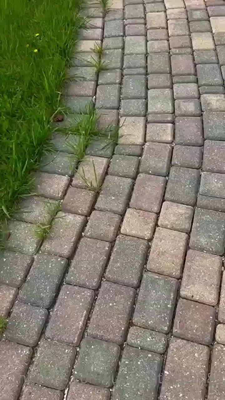 4 47pm planting plants in planters 