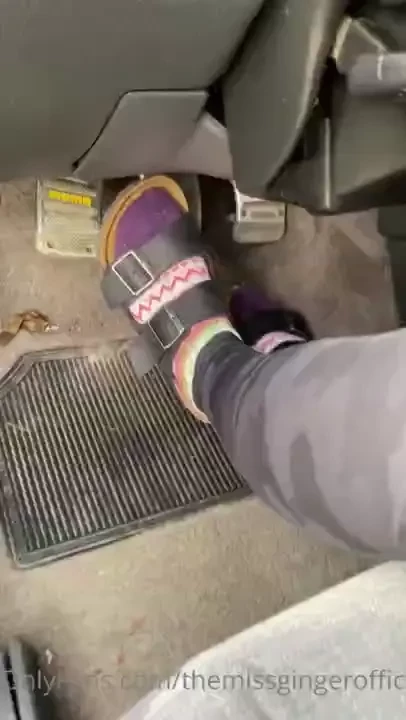 Can you drive a stick 