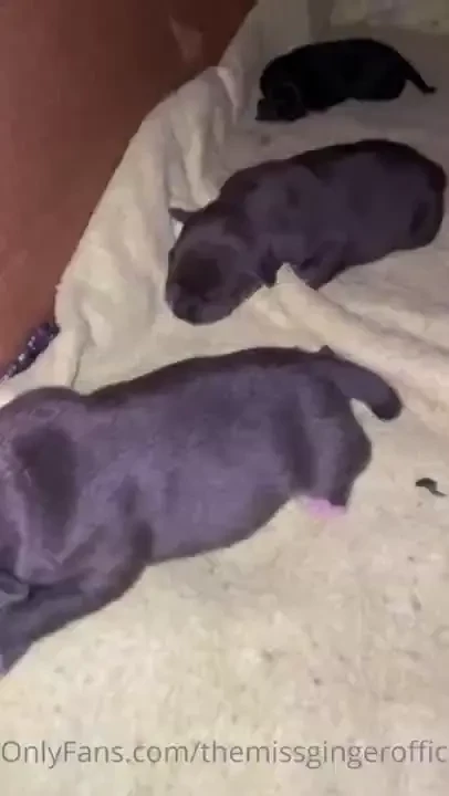 Pupdate mama and the kitties are also doing well 