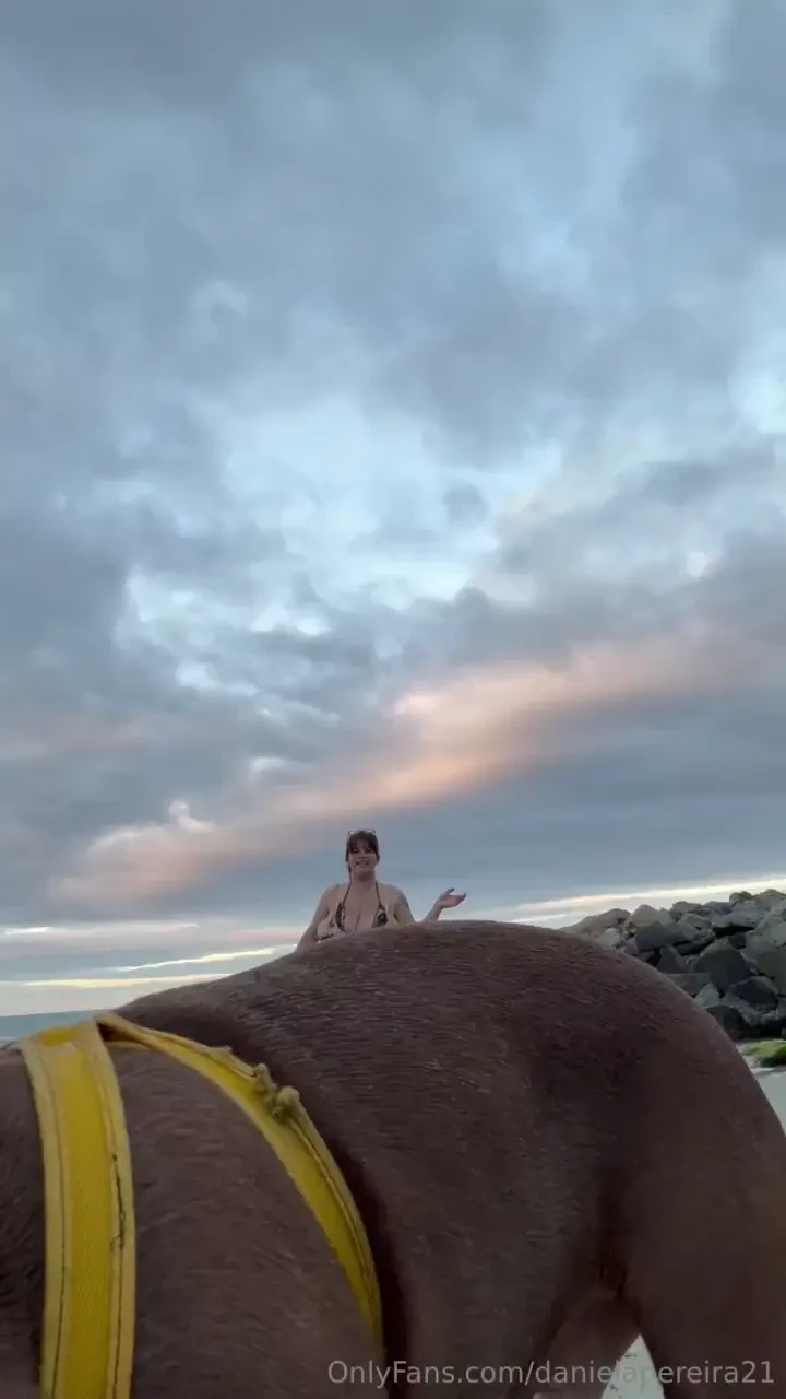 Nunca hab a llevado a taiger a la playa primero le asust el agua pero 