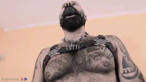 Olha s o que t vindo por a uma produ o machoflix com o urs o luttibear