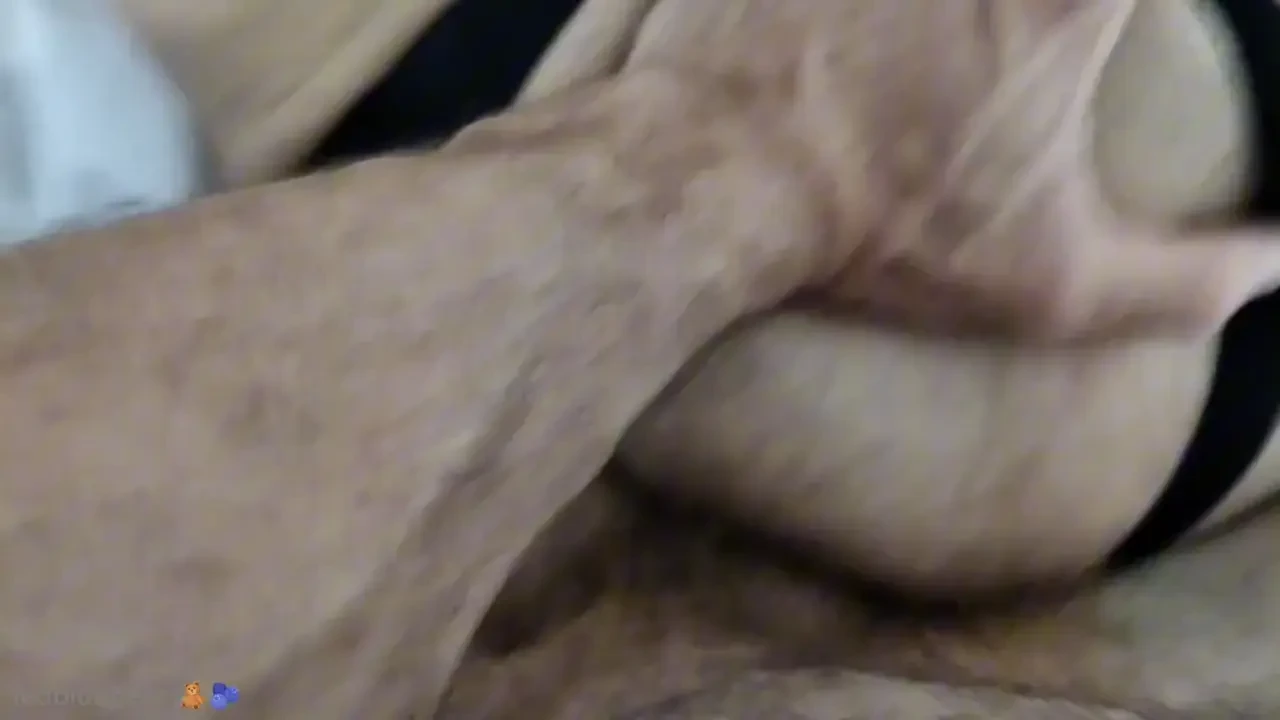 Today s evening bear meeting part 3 - a new flip den brings you a 