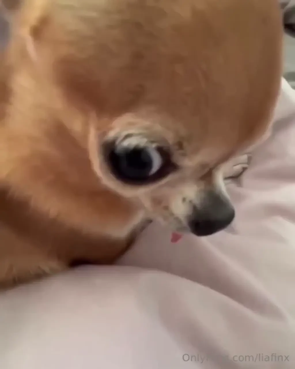 Me when i want it but you dont give it to me 