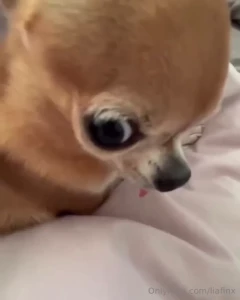 Me when i want it but you dont give it to me