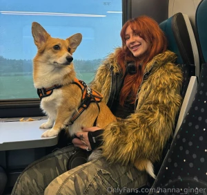 I ve been everywhere man crossed the deserts bare man i ve been