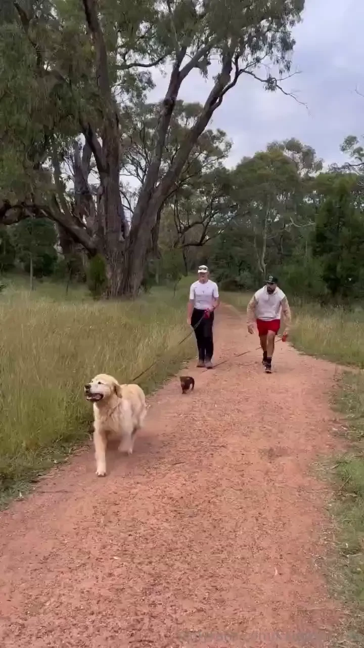 My dad is an animal i gotta jog to keep up with this man up the 