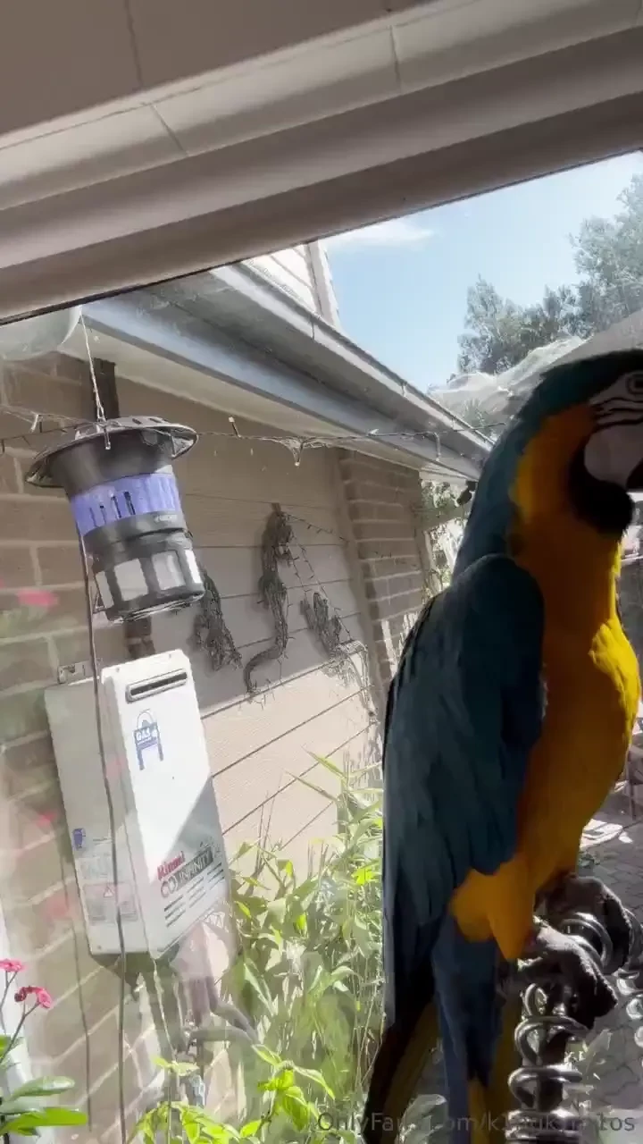 My guy neil wanted to see buddy so here he is everyone this is my 