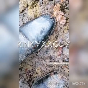 Dein gesicht wird in jedem haufen pferde pfel versenkt an dem wir