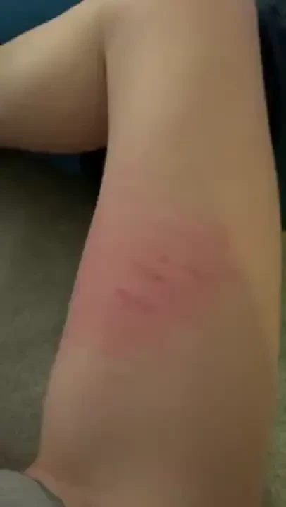 Say thank you daddy thank you daddy you re welcome princess 