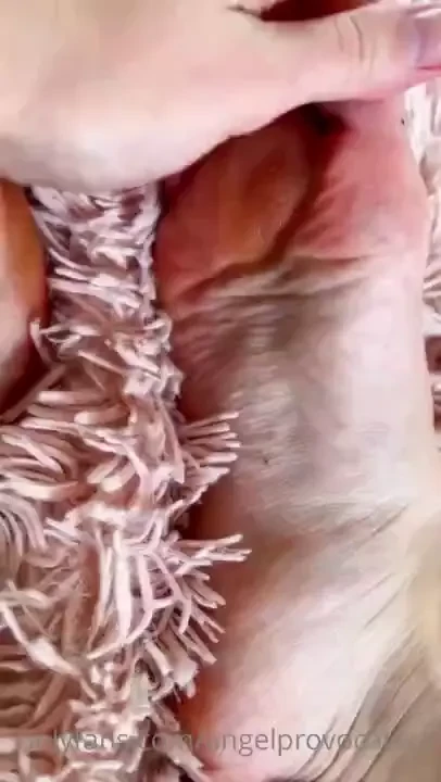 Tip on this post to contribute to my foot care fund they clearly need 