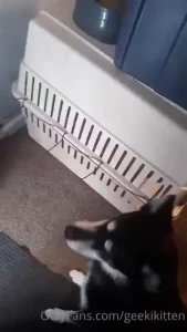 It finally snowed here this morning my girls love playing in it lt 3