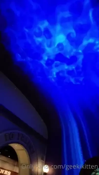 Went to a big city aquarium for my bf s bday yesterday it was amazing part 4 