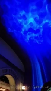 Went to a big city aquarium for my bf s bday yesterday it was amazing part 4