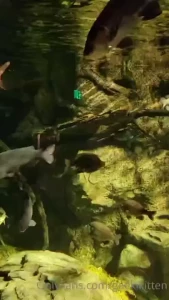 Went to a big city aquarium for my bf s bday yesterday it was amazing part 2