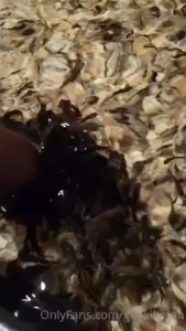 Went to a big city aquarium for my bf s bday yesterday it was amazing