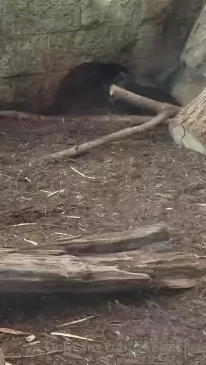 Went to a big city aquarium for my bf s bday yesterday it was amazing part 1 