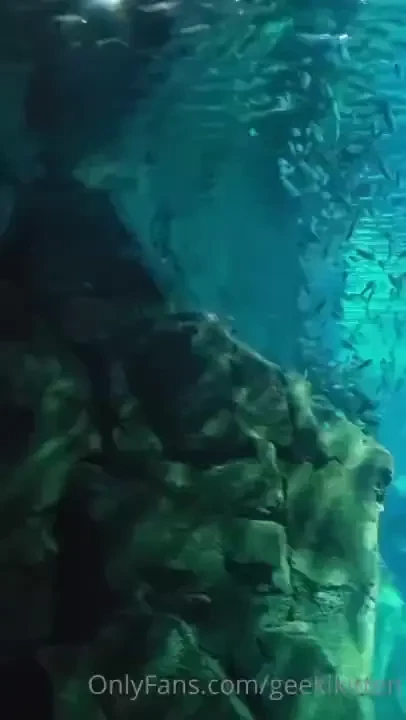 Went to a big city aquarium for my bf s bday yesterday it was amazing part 5 