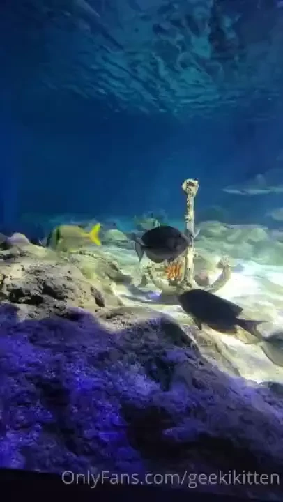 Went to a big city aquarium for my bf s bday yesterday it was amazing part 3 