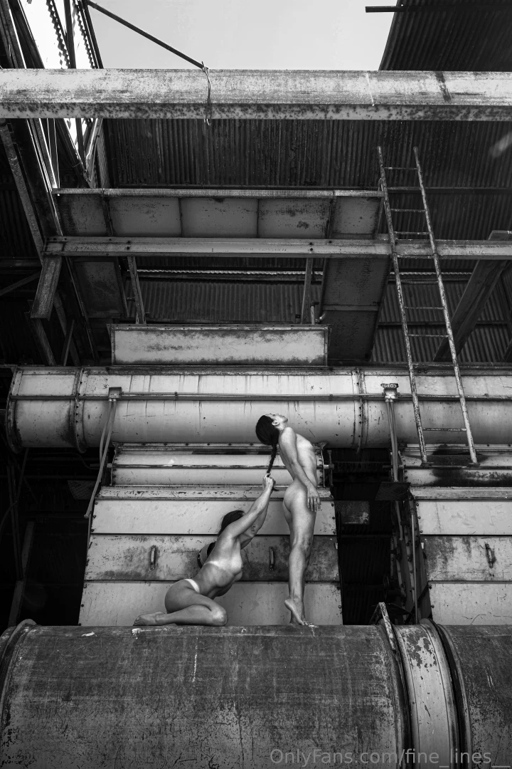 fine-lines - Industrial building ladder section duo self portrait finished set and part 5 