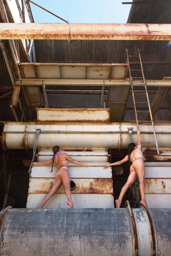 fine-lines - Industrial building ladder section duo self portrait finished set and part 6 