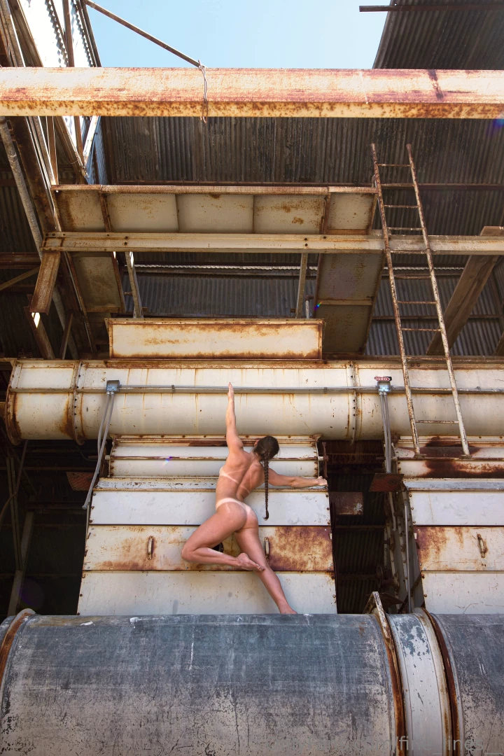 fine-lines - Industrial building ladder section duo self portrait finished set and part 8 