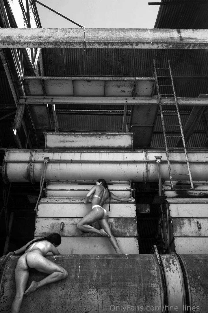 fine-lines - Industrial building ladder section duo self portrait finished set and part 11 