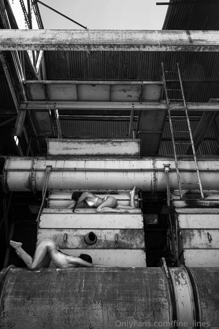 fine-lines - Industrial building ladder section duo self portrait finished set and part 13 