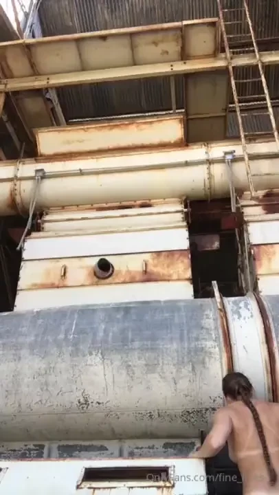 Industrial building ladder section duo self portrait finished set and part 16 