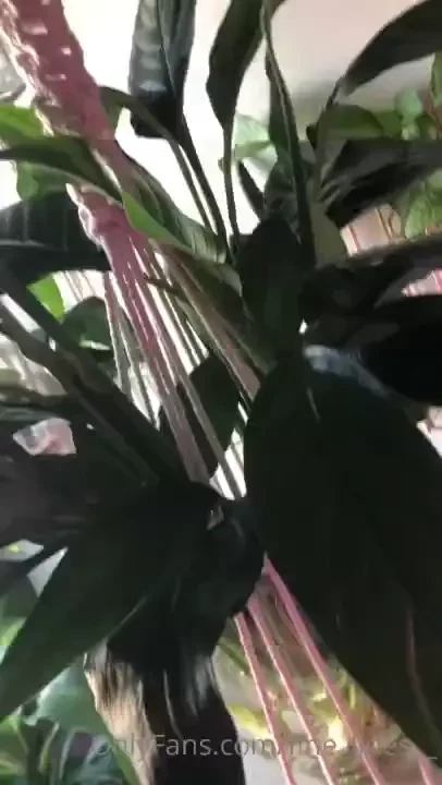 I apologize i skipped posting yesterday i just needed an actual break part 2 