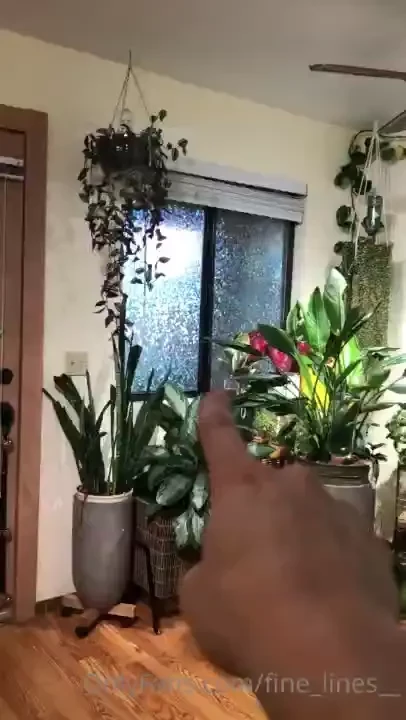 Hips this light situation i may need to actually set up a light when 