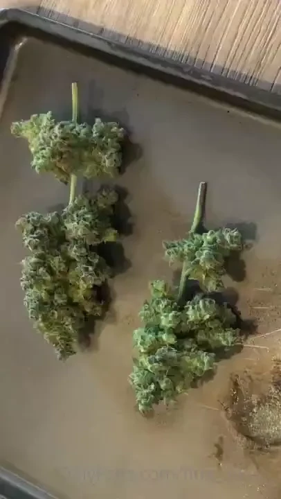 Well trimming takes way longer than expected and now i totally part 6 