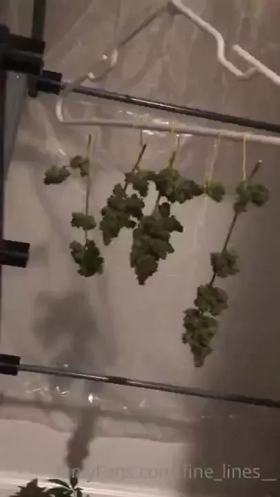 Well trimming takes way longer than expected and now i totally part 3 