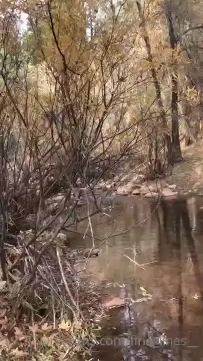 Full finished set and bts photographer forbidden_rosee edits done by 