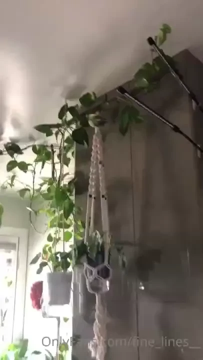 Dracaena repot and the progression of my bathroom lol the dracaena as part 2 