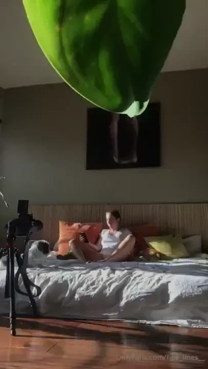 Bts orange bedroom video 1 intro video 2 pulled parts video 3 sped up 